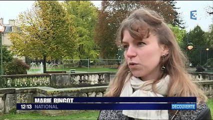 Choisy Le Roi Le Chateau Reconstitue Grace A La 3d