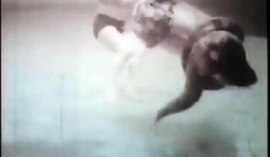 Un homme se bat contre anaconda dans l'eau