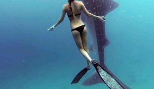 Une jeune femme plonge avec un requin baleine