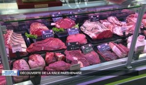 Mode d'emploi - Les races à viande