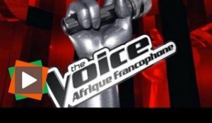 Reportage : Dans les coulisses des auditions de "The Voice Afrique 2016"