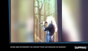 Céline Dion s’arrête en plein concert pour une demande en mariage (Video)