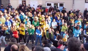 Avranches : flash mob du téléthon 3 décembre 2016