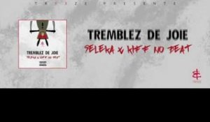 Seleka Feat. Kiff No Beat - Tremblez De Joie (Prod. By Shado Chris)
