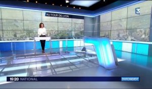 Pollution : circulation alternée à Lyon et Villeurbanne à partir de vendredi