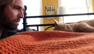Réveillé par son chat tous les matins, son maître décide de prendre sa revanche!