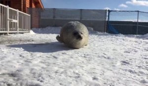 Toi après le repas de Noël