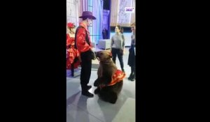 Un ours attaque une femme sur un plateau de télévision !