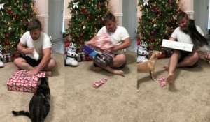 Trop excité par sa PS4 à Noël, il se fait attaquer par son chat