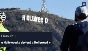 Les lettres “Hollywood” mystérieusement transformées en “Hollyweed” la nuit du Nouvel An