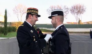 Gendarmerie : un chien presque aveugle reçoit une médaille !