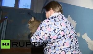 Un Chat Sauve Un Bebe Qui Allait Tomber Dans Les Escaliers Sur Orange Videos