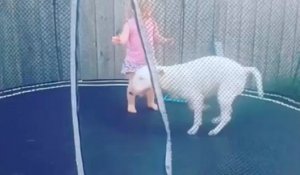 Une petite fille s'amuse avec son chien sur un trampoline !