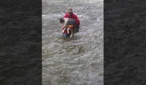 Un homme sauve un chien d'une eau gelé