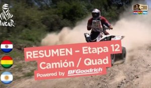 Resumen de la Etapa 12 - Quad/Camión - (Río Cuarto / Buenos Aires) - Dakar 2017