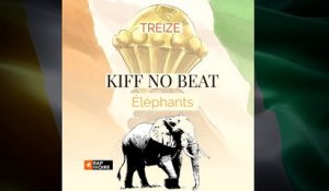 KIFF NO BEAT - Eléphant ( on compte sur vous ) [ Audio ]