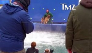 La vidéo d'un chien terrifié et poussé à l'eau de force pendant un tournage fait scandale