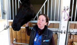 Grand Prix de Pau : Anne-Sophie Pacault présente son cheval Bagdad Café