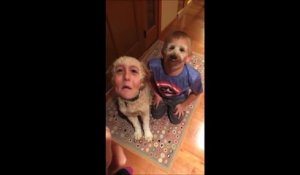 Face swap sur snapchat entre un gamin et son chien... Juste flippant!