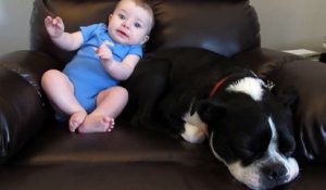 La réaction hilarante d'un chien lorsqu'un bébé lui pète dessus