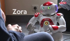 Zora, ce robot qui nous veut du bien
