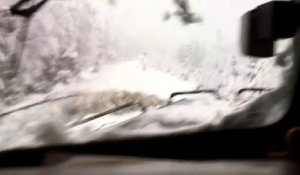 une locomotive passe après une tempête de neige