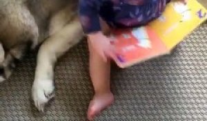 Un bébé lit un livre à son chien !