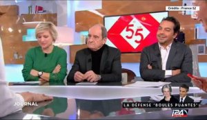 Le Journal du Midi - Partie 2 - 31/01/2017