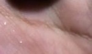 Il Nourrit Son Bebe Cameleon A La Main Et C Est Trop Mignon Sur Orange Videos