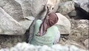 Un jeune dromadaire coincé par un rocher
