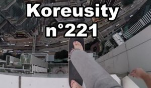 Koreusity n°221