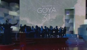 Goya : les prix du cinéma espagnol