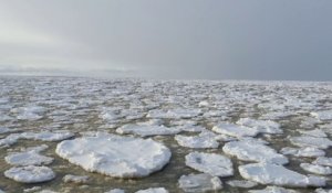 Glace de crêpe sur un lac congelé