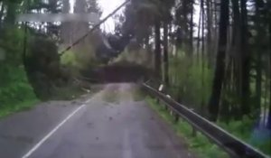 Danger sur la route avec une chute d'arbres en série et surtout en direct...