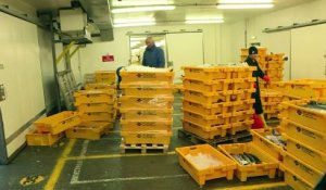 Aux Shetland, les pêcheurs espèrent renaître grâce au Brexit
