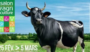 Fine vache Bretonne Pie-Noir et égérie du Salon de l'agriculture