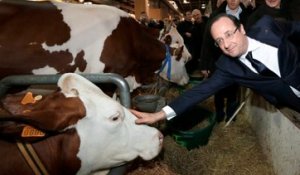 Hollande, en quatre Salons de l'agriculture