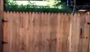 Un homme termine sa clôture pour empêcher son chien de s’enfuir malheureusement, il franchit l'obstacle. Un coup d’épée