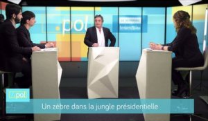 Pour Alexandre Jardin, En Marche ! "fonctionne comme une boîte de prod"