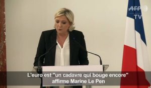 L'euro est "un cadavre qui bouge encore" dit Marine Le Pen