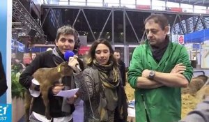 Thomas Sotto dans les allées du Salon de l'agriculture