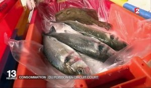 Consommation : du poisson en circuit court