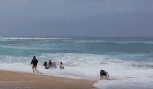 Des touristes sauvent un enfant emporté par une vague