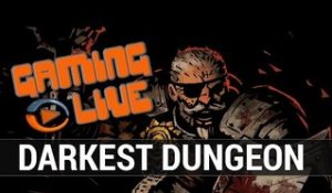 Darkest Dungeon : Gameplay - Aux confins de la folie - Gaming Live