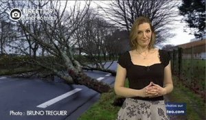 Tempête Zeus en Bretagne : les images des dégâts