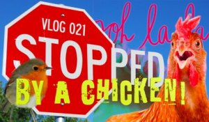 Vlog 021 - Stopped by a Chicken!