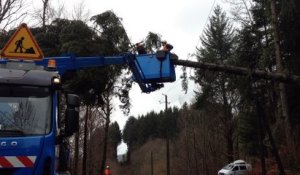 Tempête Zeus: Élagage pour dégager un arbre tombé sur une ligne 20 000 volts en Auvergne