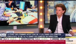 "La loi Copé-Zimmermann est un succès", Agnès Touraine – 08/03