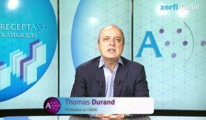 Thomas Durand, Les cadres insatisfaits veulent-ils vraiment devenir indépendants ?