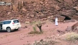 Ils essaient d’arracher un vieil arbre mais ce qui leur arrive les laissent sans voix !